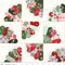 Fabric Riley Blake Cloud Dresden Fan Cheater Print Mistletoe & Holly by the Quarter Yard C16408-CLOUD